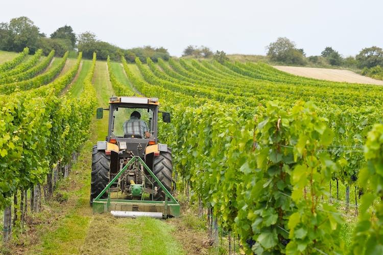 CIA Abruzzo: “Regolamento sul territorio rurale va semplificato, troppe barriere per le aziende agricole”