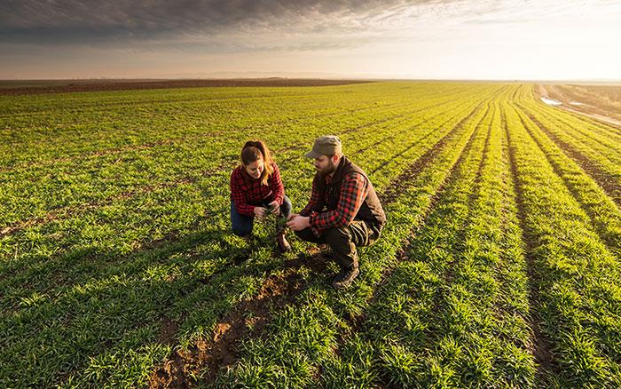 Dl Agricoltura: Cia, da governo risposte concrete. Ma manca Granaio Italia