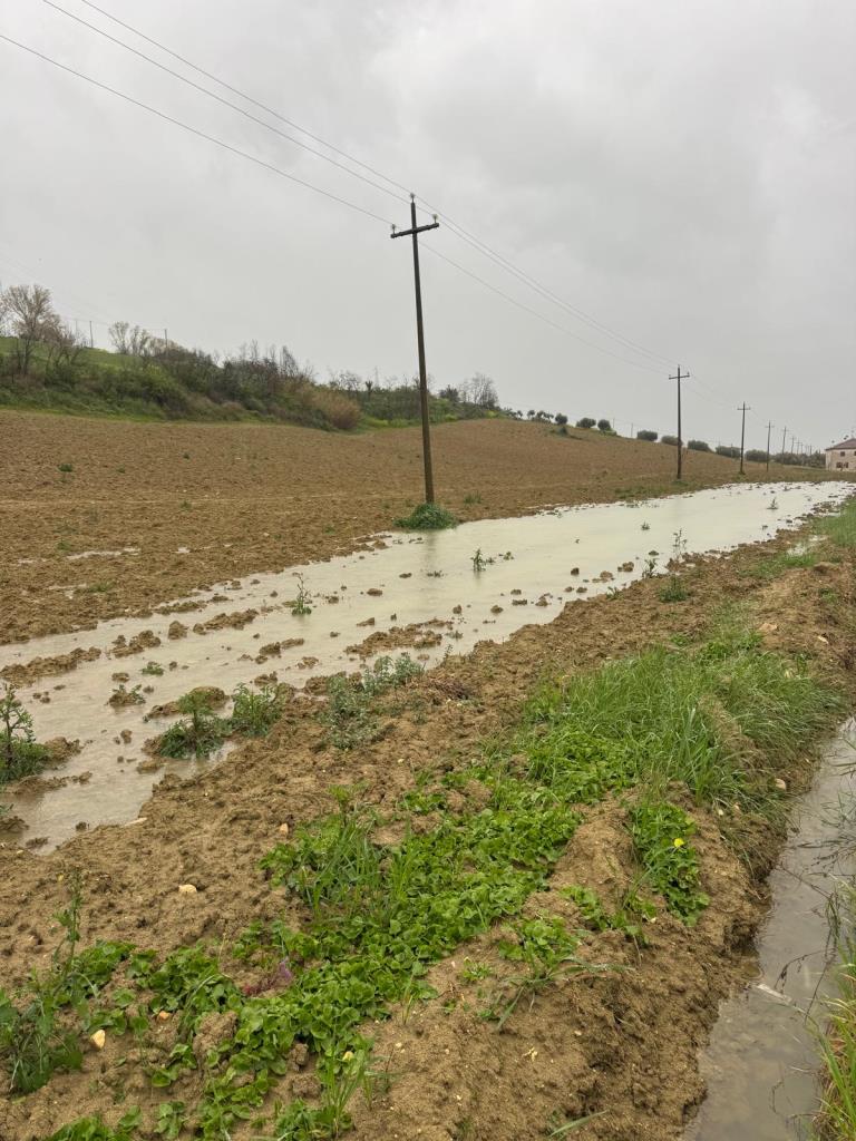 CIA Chieti Pescara: agricoltura a rischio collasso tra maltempo, gelate e allagamenti