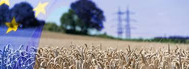 Ue: Cia, Corte dei conti dà ragione ad agricoltori e boccia la riforma Pac post 2027