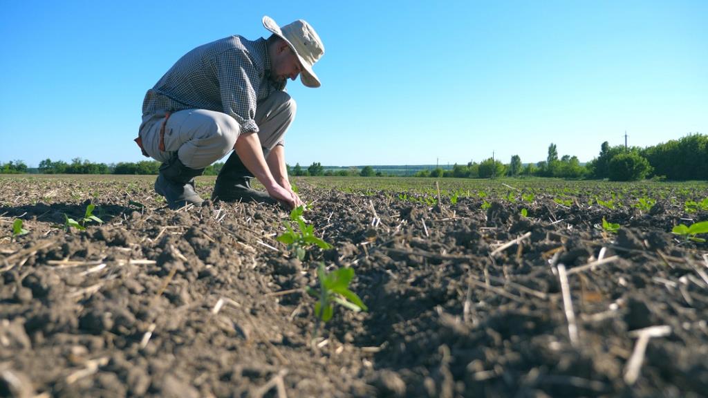 Cia Chieti-Pescara: “Siccità e cambiamento climatico mettono a rischio l’agricoltura. Settore in difficoltà”