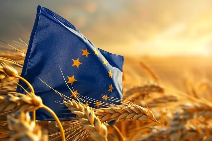 La Pac che vogliamo. Le priorità di Cia per una buona riforma 2028-2034.