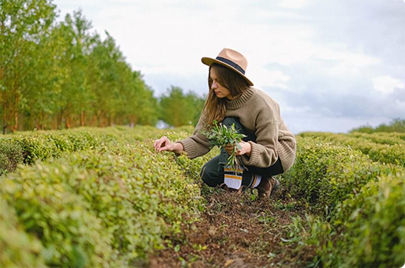 Abruzzo, aperti i corsi di formazione per Imprenditore Agricolo Professionale e Operatore Di Fattoria Didattica