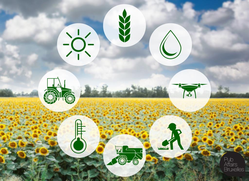 Fondo Innovazione Ismea, Cia “Incentivi importanti per sostenere l’innovazione dell’agricoltura”