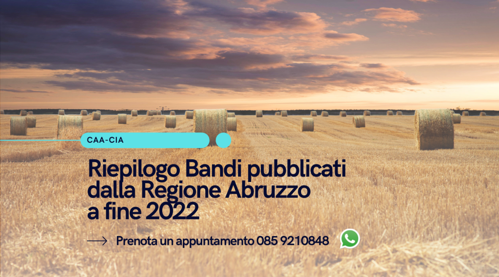 Riepilogo Bandi Regione Abruzzo fine 2022