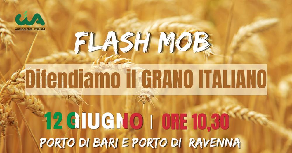 Cia torna in piazza da Nord a Sud a difesa del grano. Flash mob nei porti di Bari e Ravenna